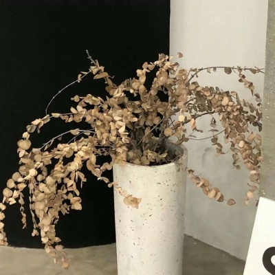 兽设场景透视教程兽圈社群
